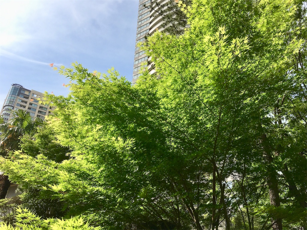 f:id:michimichi141:20190512161800j:image