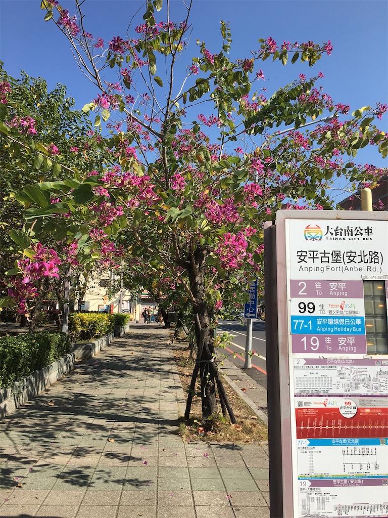 f:id:michimichi141:20191213232410j:image