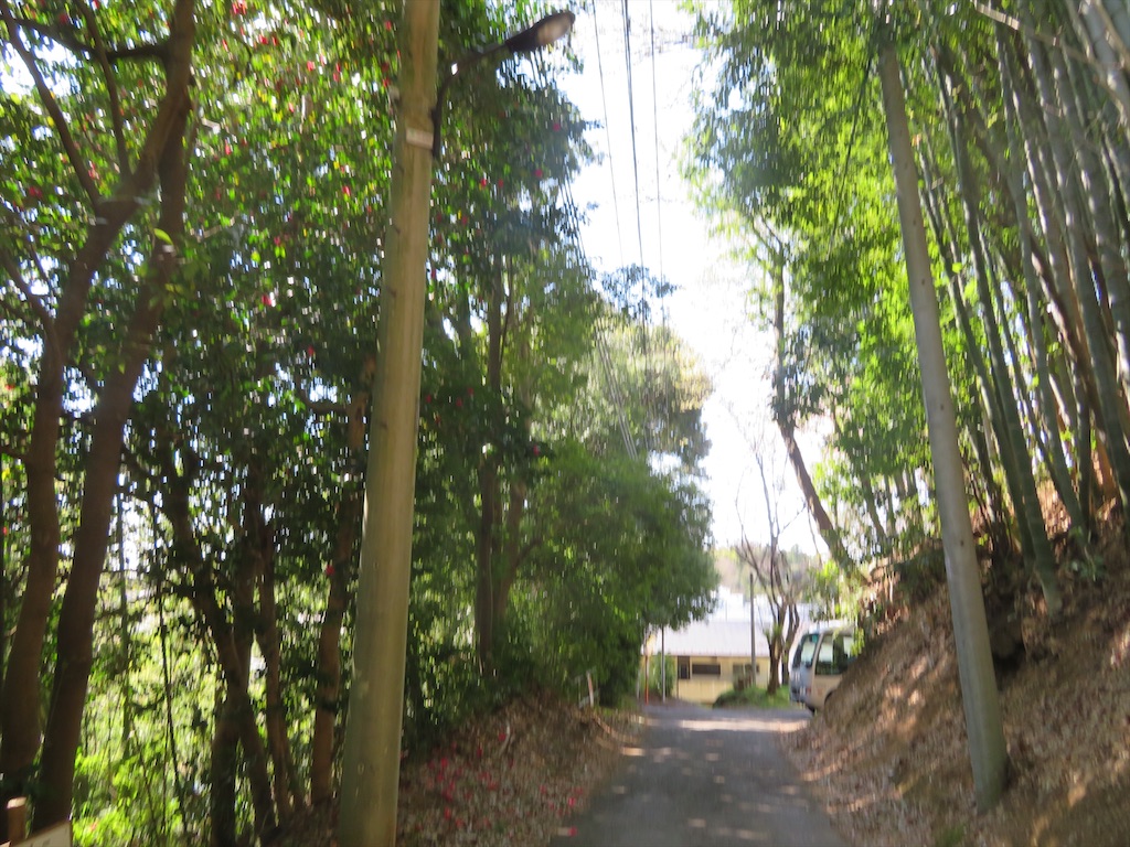 f:id:michimichi_road:20200407143539j:image