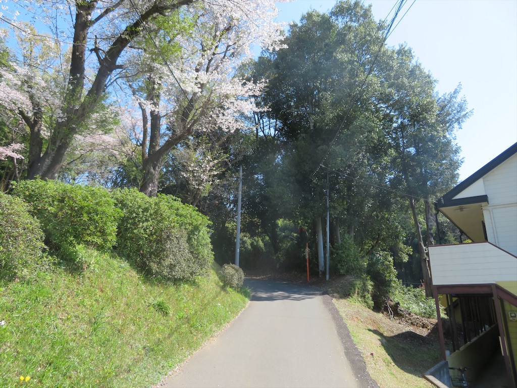 f:id:michimichi_road:20200407143618j:image