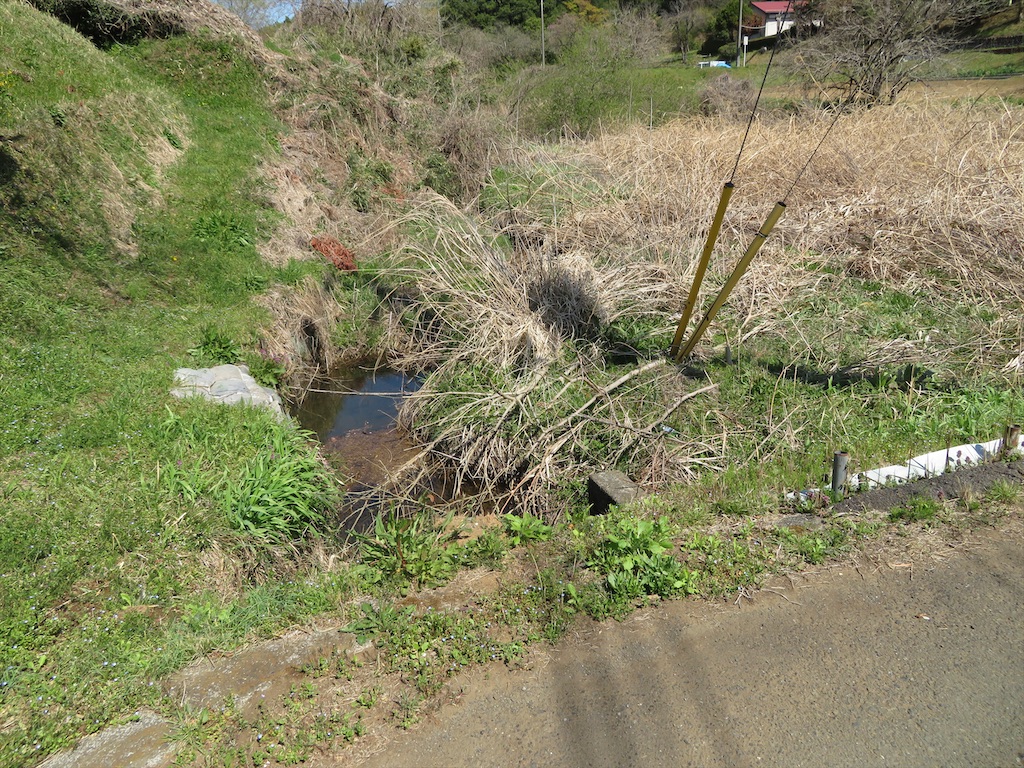 f:id:michimichi_road:20200407144448j:image