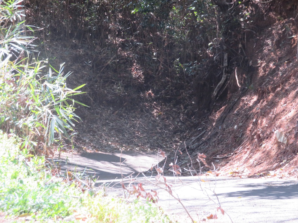 f:id:michimichi_road:20200407144522j:image