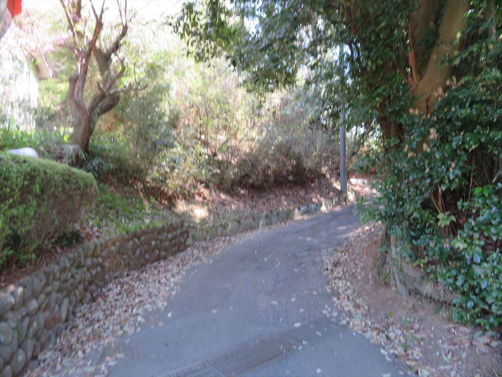 f:id:michimichi_road:20200407144549j:image