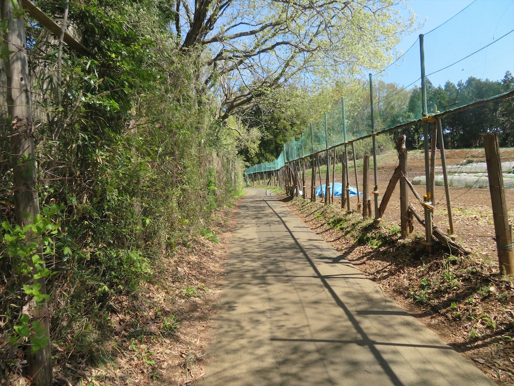 f:id:michimichi_road:20200407144600j:image