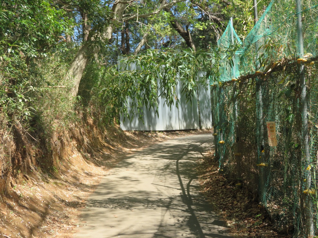 f:id:michimichi_road:20200407144722j:image