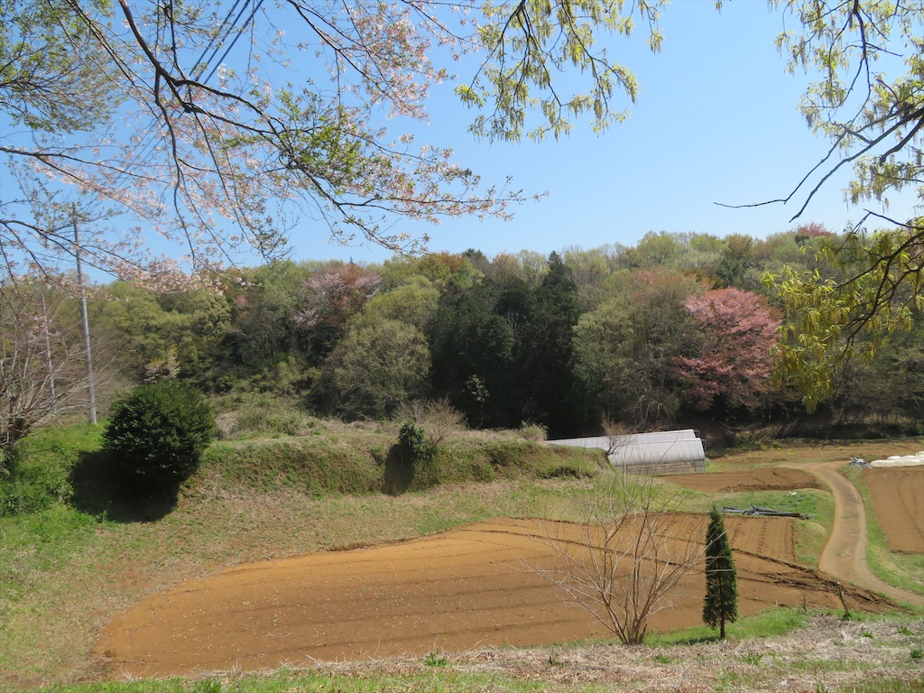 f:id:michimichi_road:20200407144733j:image