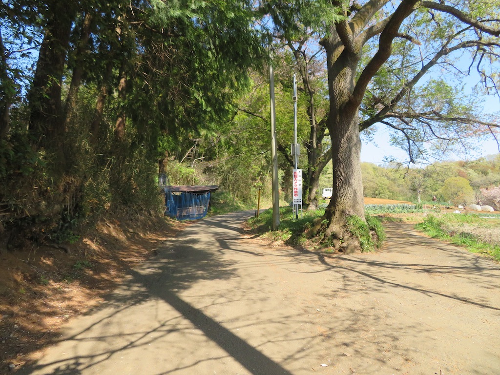 f:id:michimichi_road:20200407144813j:image