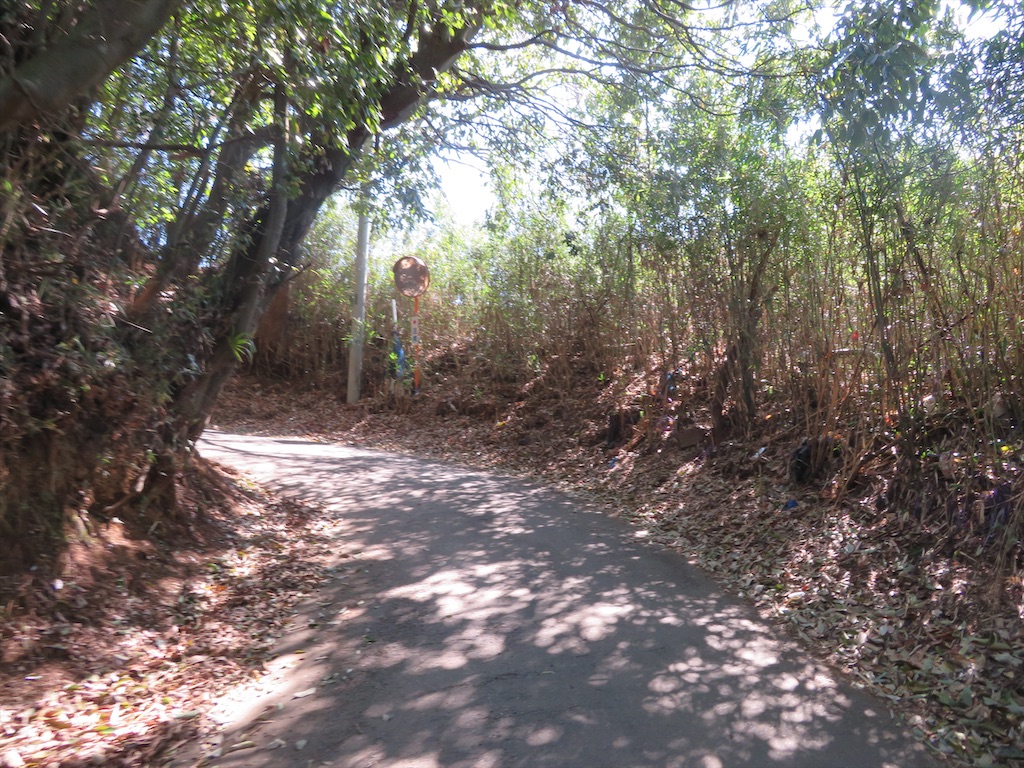 f:id:michimichi_road:20200407144846j:image