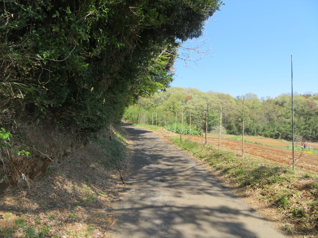 f:id:michimichi_road:20200407144923j:image