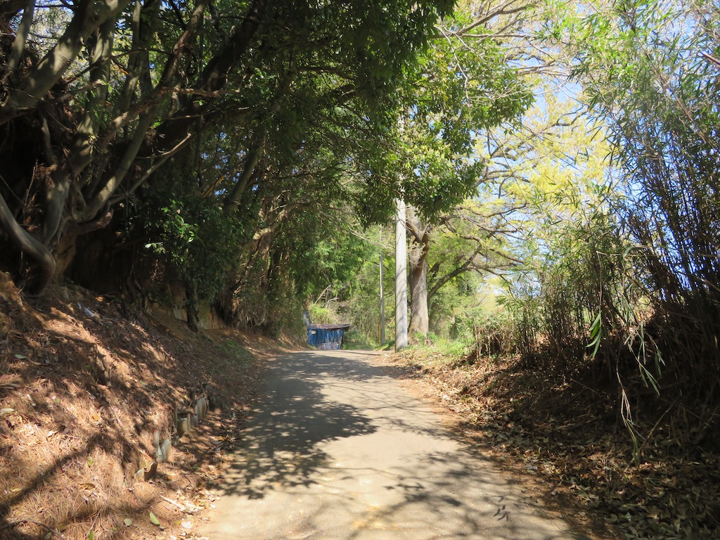 f:id:michimichi_road:20200407144942j:image