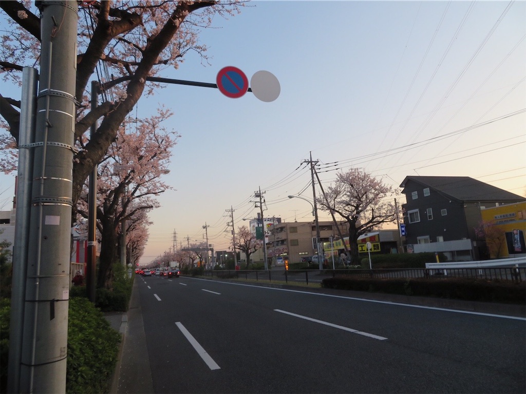 f:id:michimichi_road:20200409091606j:image