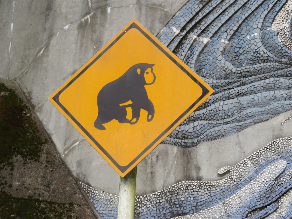 f:id:michimichi_road:20200601224553j:image