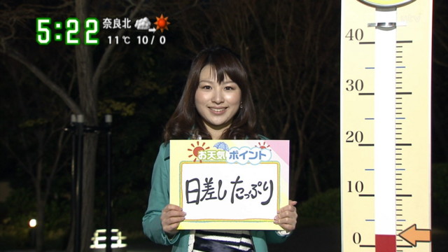 f:id:michinao:20100330181959j:image