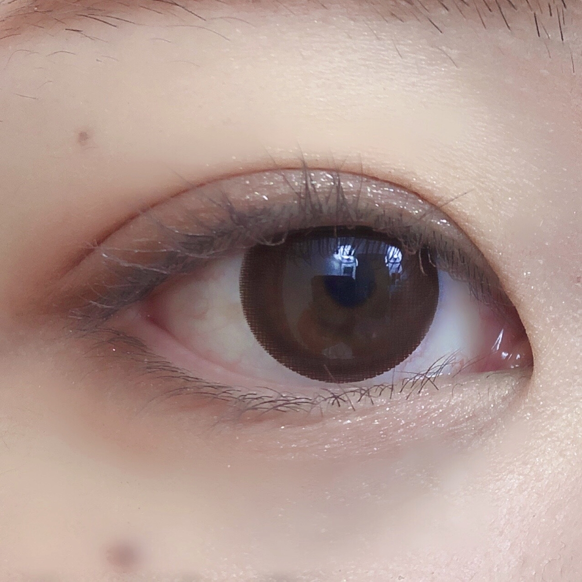 f:id:michiru521:20200201154233j:plain