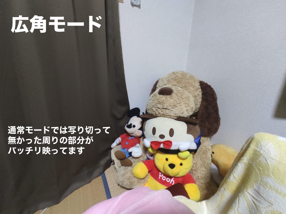f:id:michiru521:20210113205015j:plain