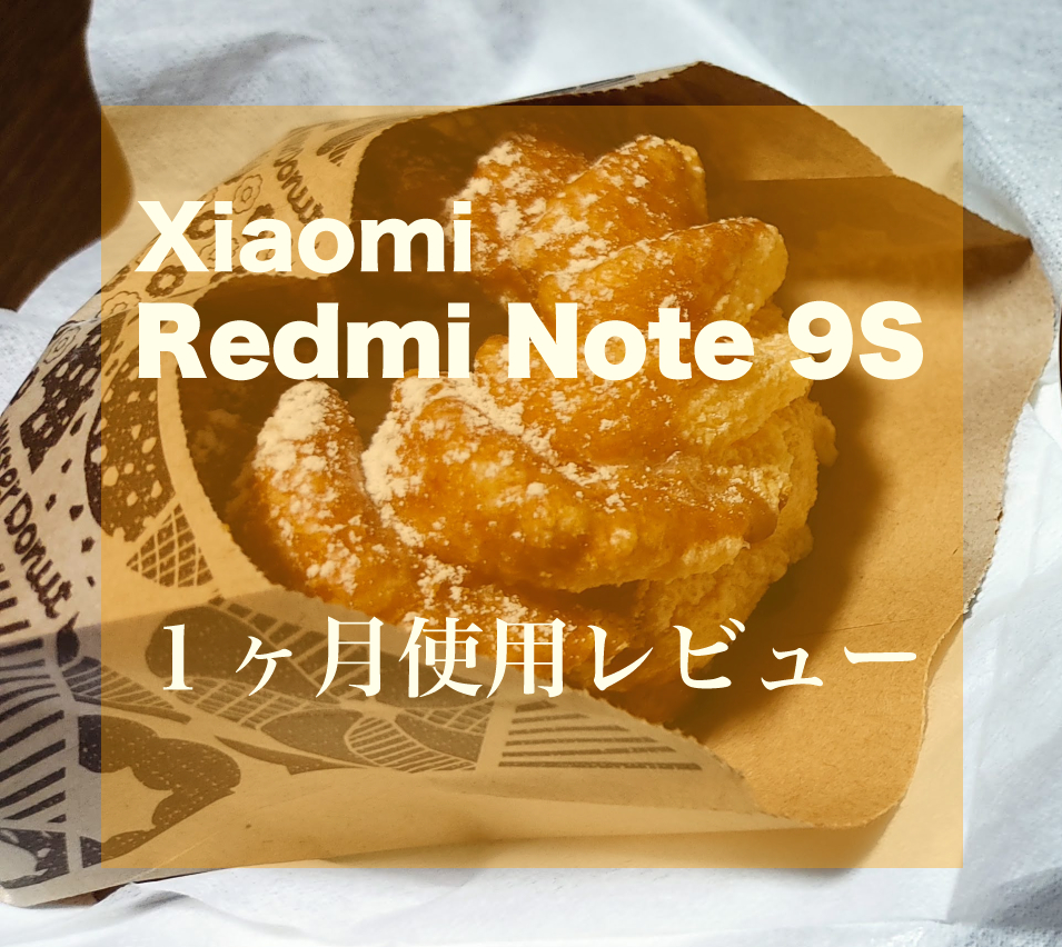 f:id:michiru521:20210113211039j:plain