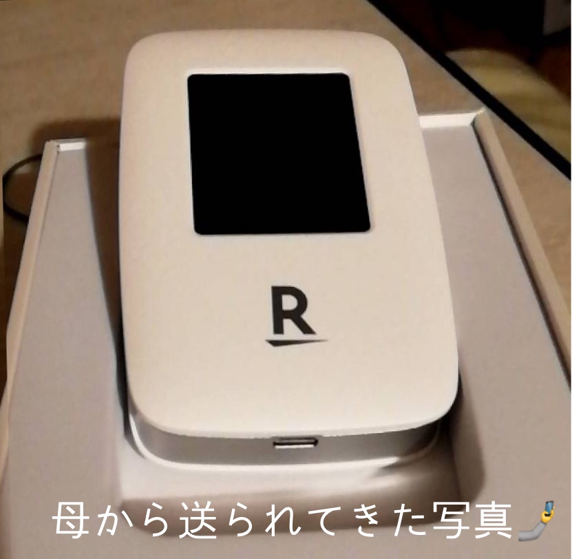 後から頼んだのに先に来たパンダちゃんルーター
