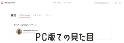 PC版での見た目