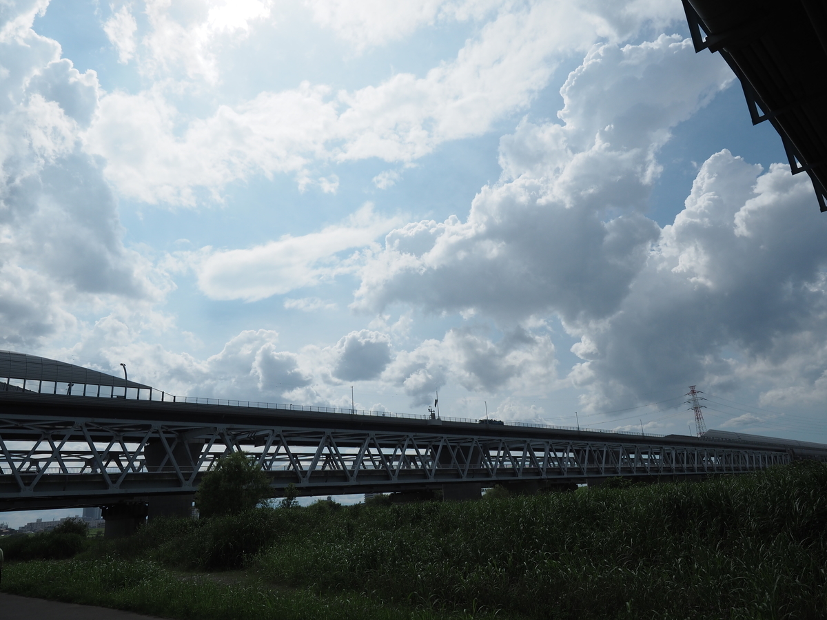 f:id:michirujunk:20200717144618j:plain f:id:michirujunk:20200717144618j:plain