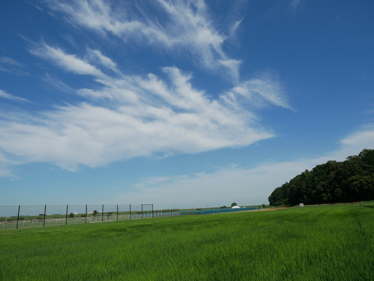 f:id:michirujunk:20200717144841j:plain f:id:michirujunk:20200717144841j:plain