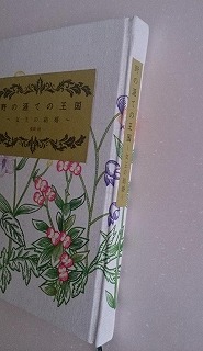 f:id:michishikagami:20150729180243j:plain f:id:michishikagami:20150729180243j:plain