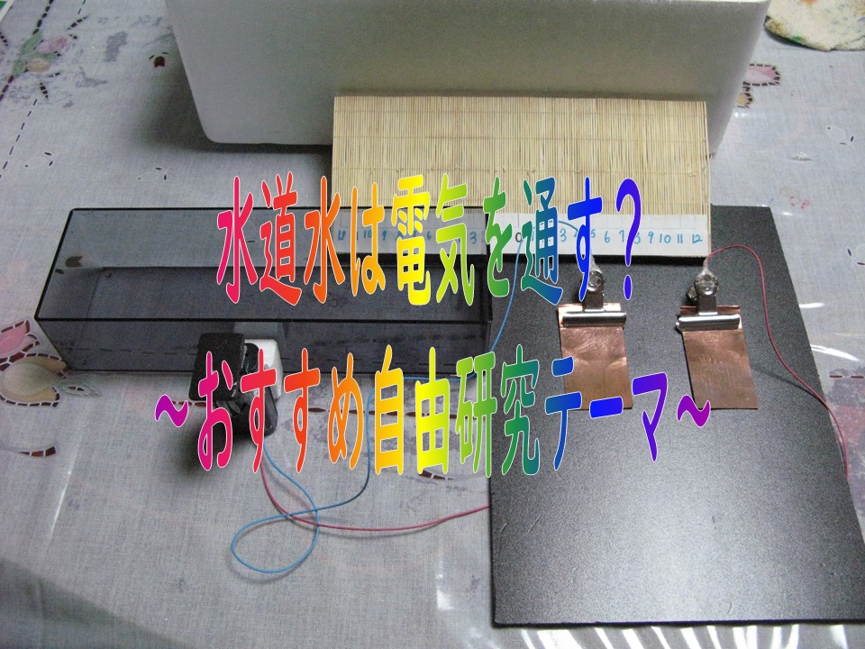 f:id:michitomo2019:20200309160548j:plain f:id:michitomo2019:20200309160548j:plain