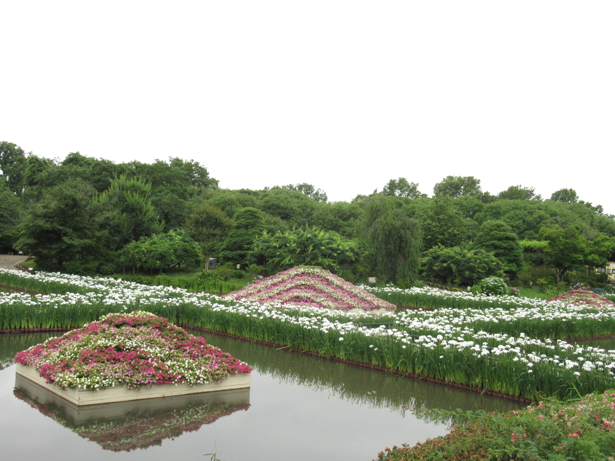 f:id:michiyoko:20200615095434j:plain