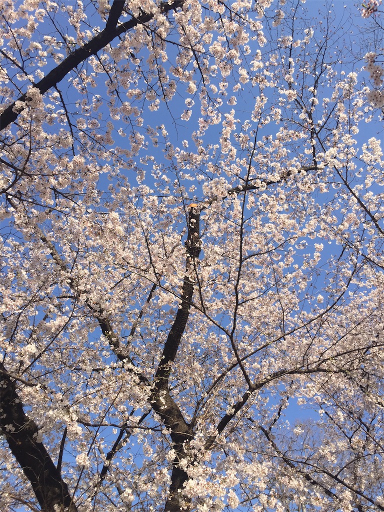f:id:michynote:20200326164650j:image f:id:michynote:20200326164650j:image