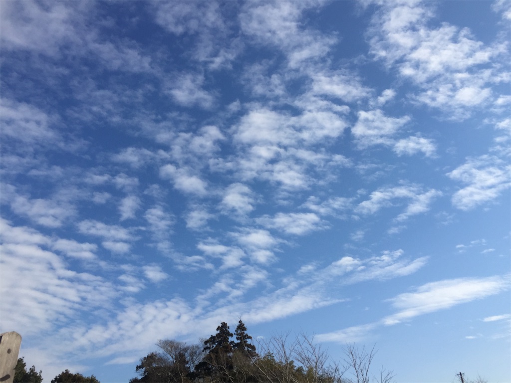 f:id:michynote:20210207221143j:image f:id:michynote:20210207221143j:image