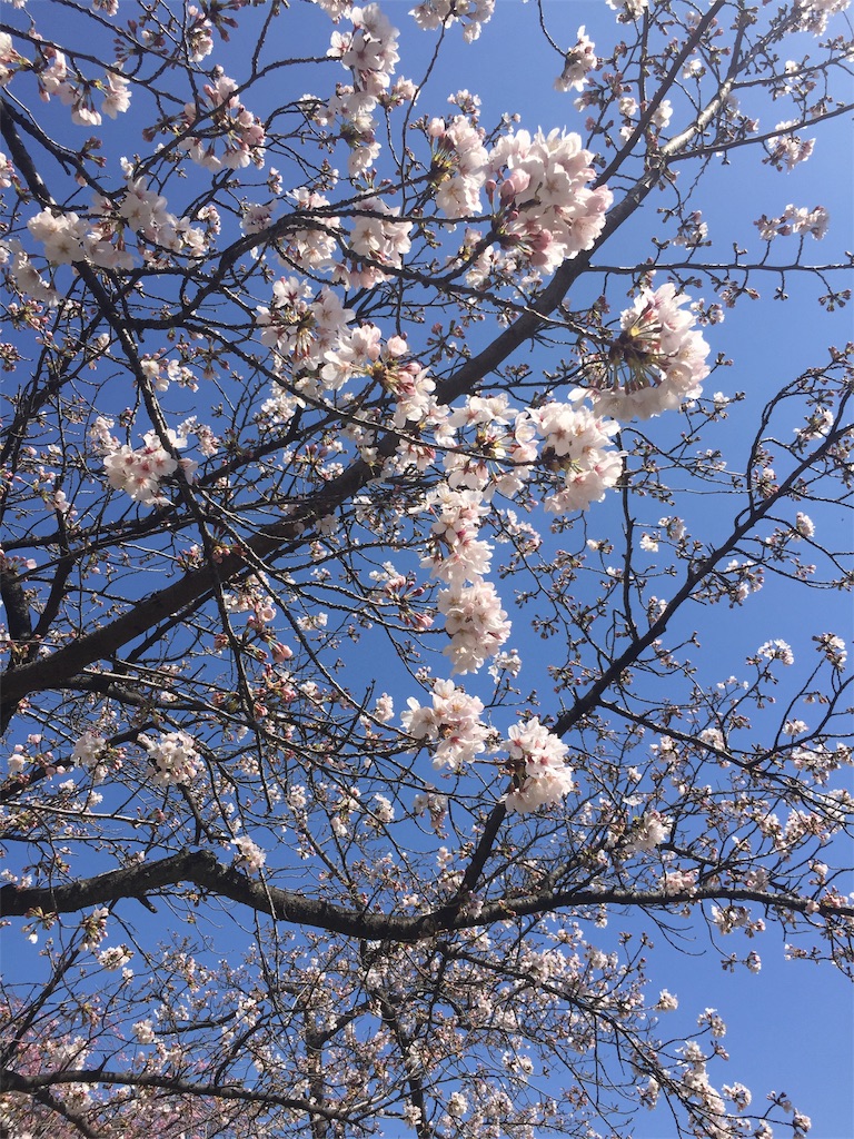 f:id:michynote:20210331102203j:image f:id:michynote:20210331102203j:image