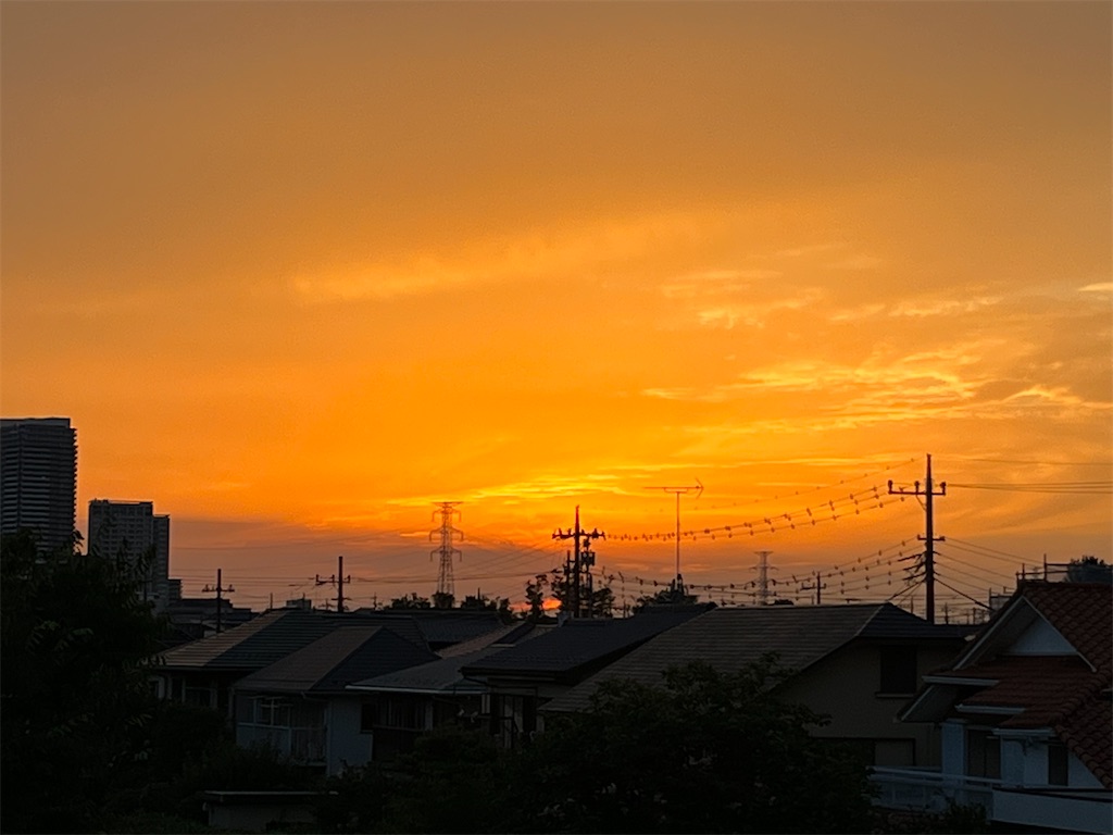 f:id:michynote:20231013144813j:image