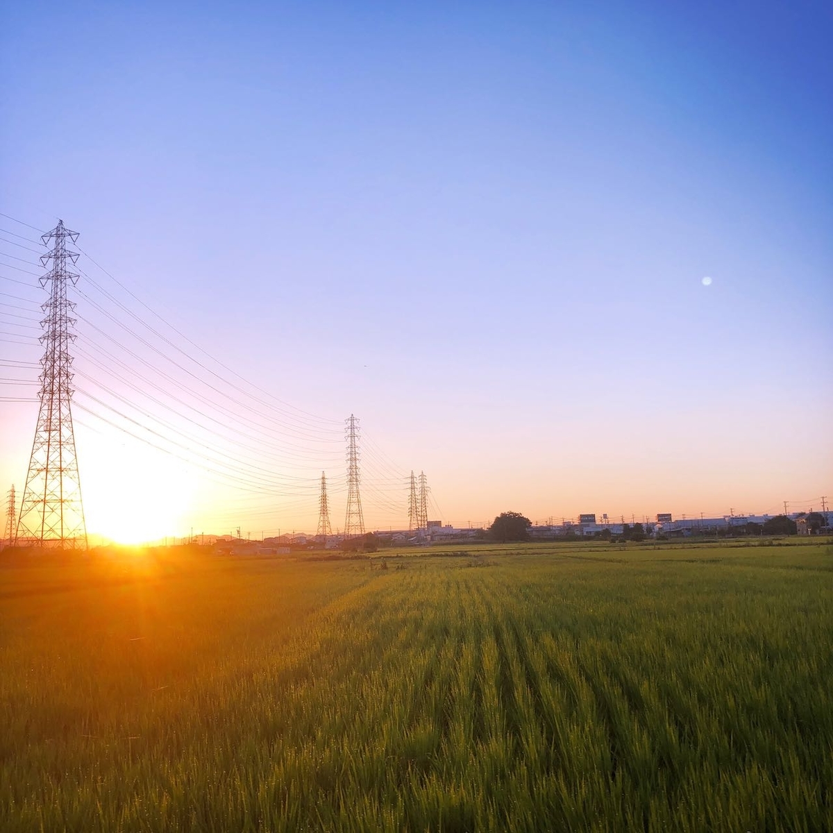 f:id:mick_kamihara:20210725050553j:plain