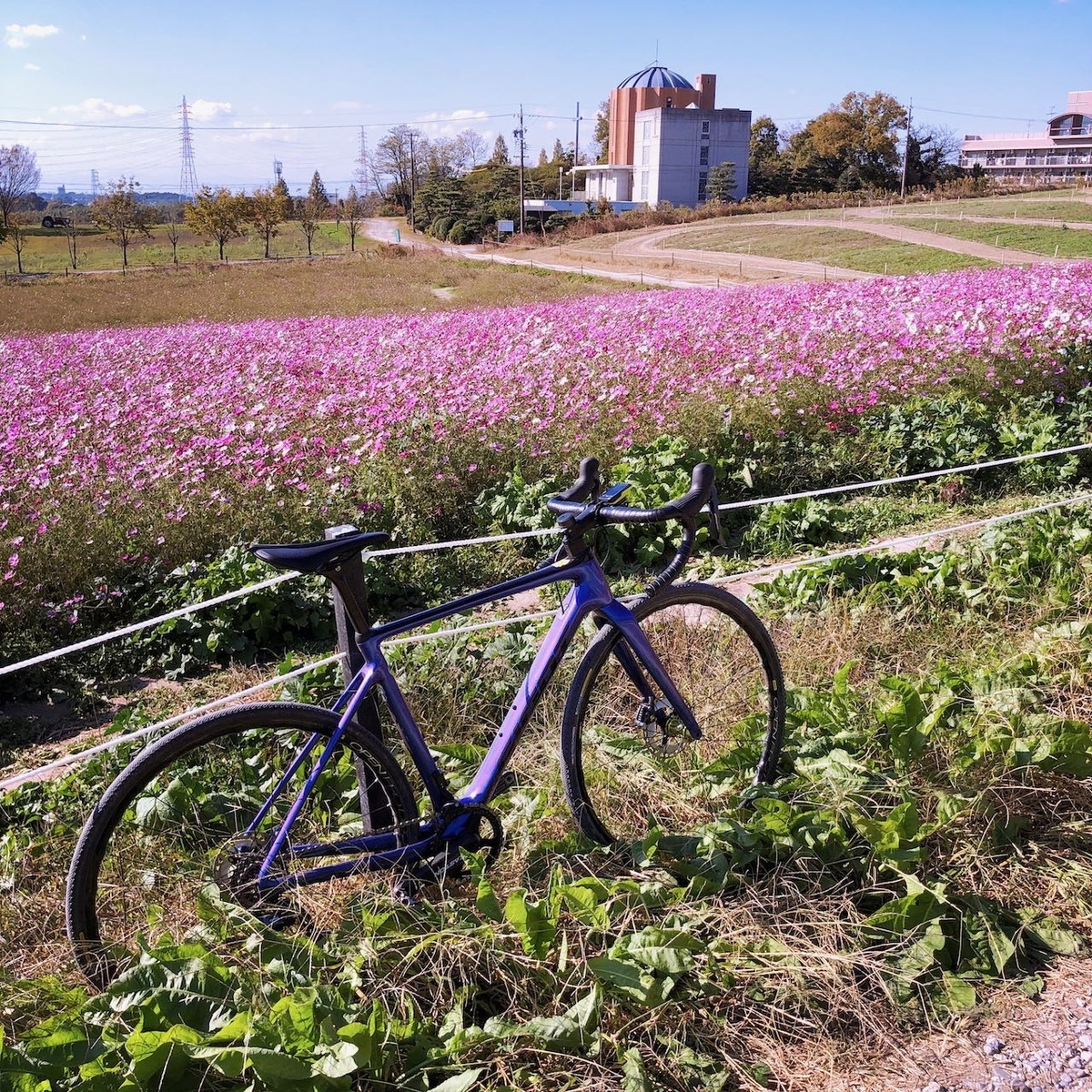 f:id:mick_kamihara:20211117124321j:plain