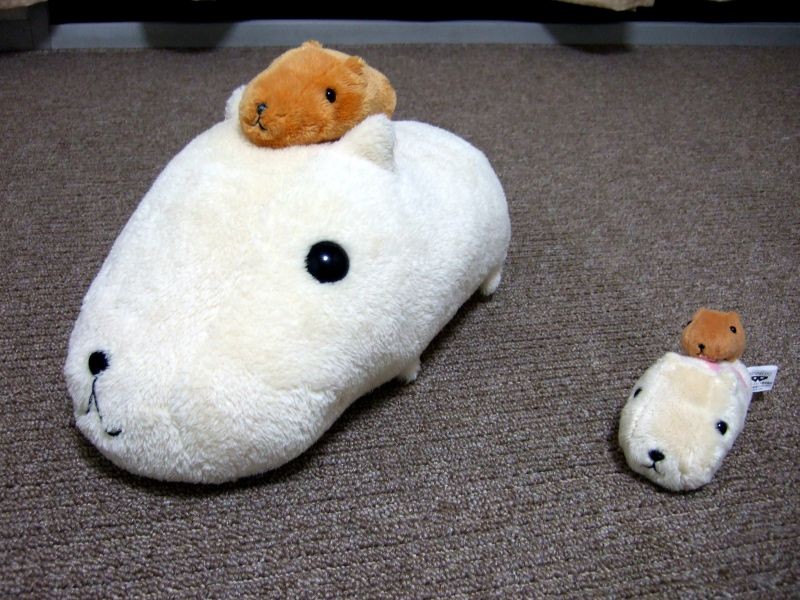 カピバラさん みんなでのすのすぬいぐるみ ホワイトさん - ぬいぐるみ