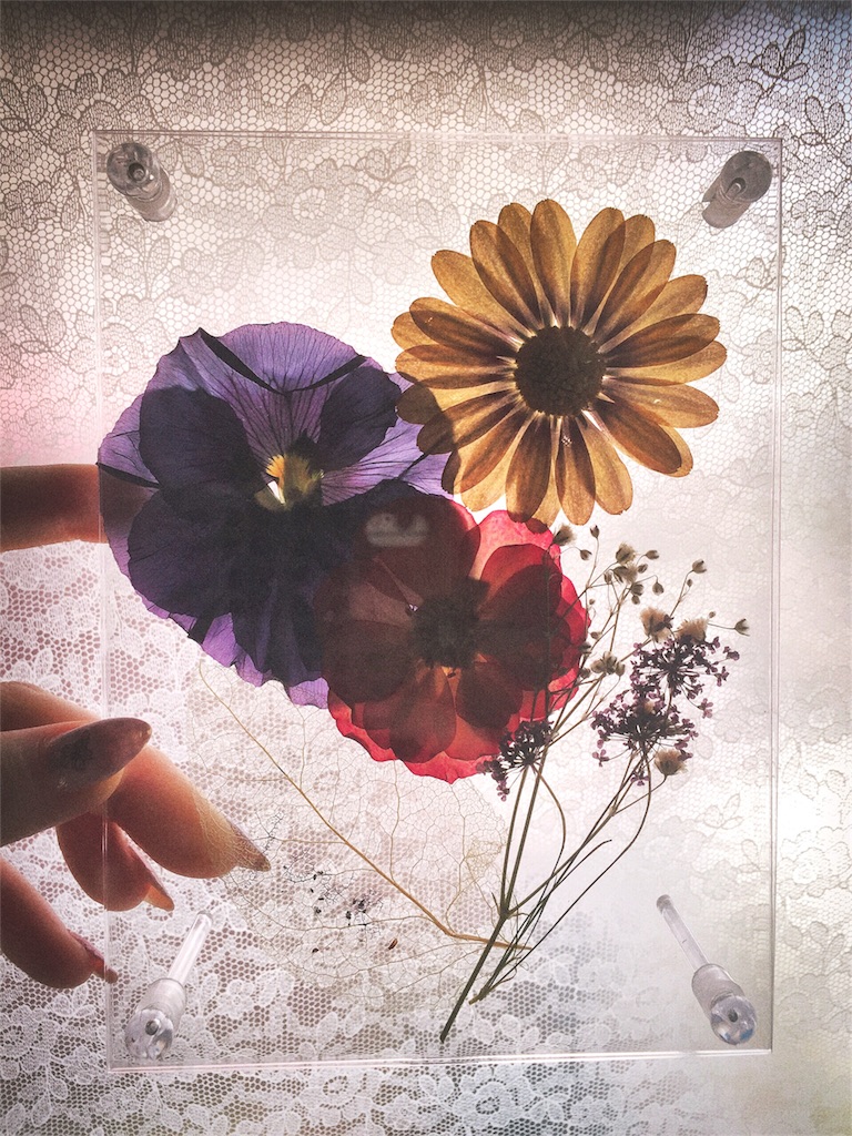f:id:mickeybook:20190617000656j:image
