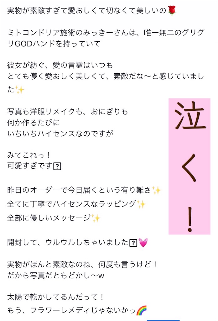 f:id:mickeybook:20190622095116j:image