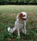 bonPark-1.jpg