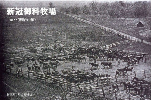 f:id:mickymagicabc:20210225225352j:image