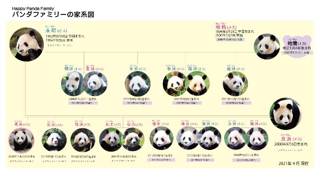 f:id:mickymagicabc:20210625103137j:image