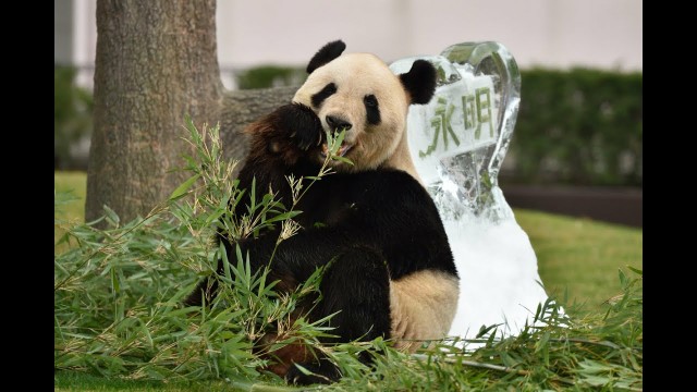 f:id:mickymagicabc:20210625103202j:image