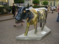 20080417171328