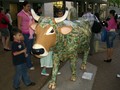 20080417171418