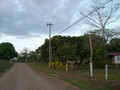 20080419173938