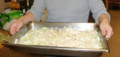 20081208102930