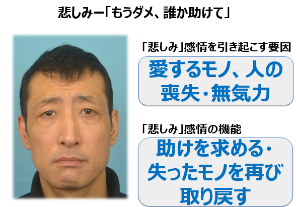 6割は勝つ方法 科学的感情アプローチ法 悲しみ編 微表情 6割は勝つ方法 科学的感情アプローチ法 悲しみ編 微表情
