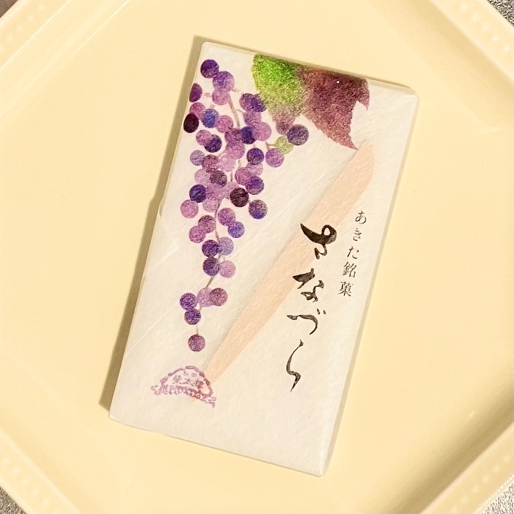 f:id:microbian:20240501125651j:image