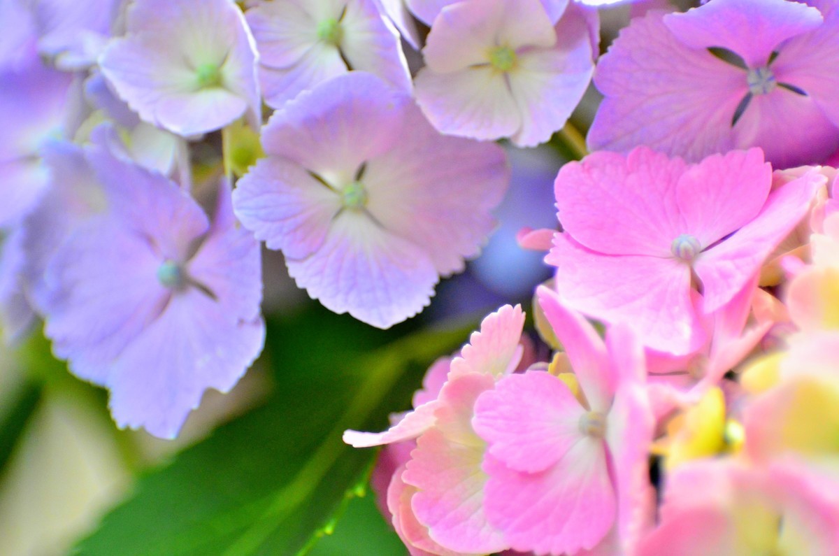 f:id:microfilm:20190601101520j:plain f:id:microfilm:20190601101520j:plain