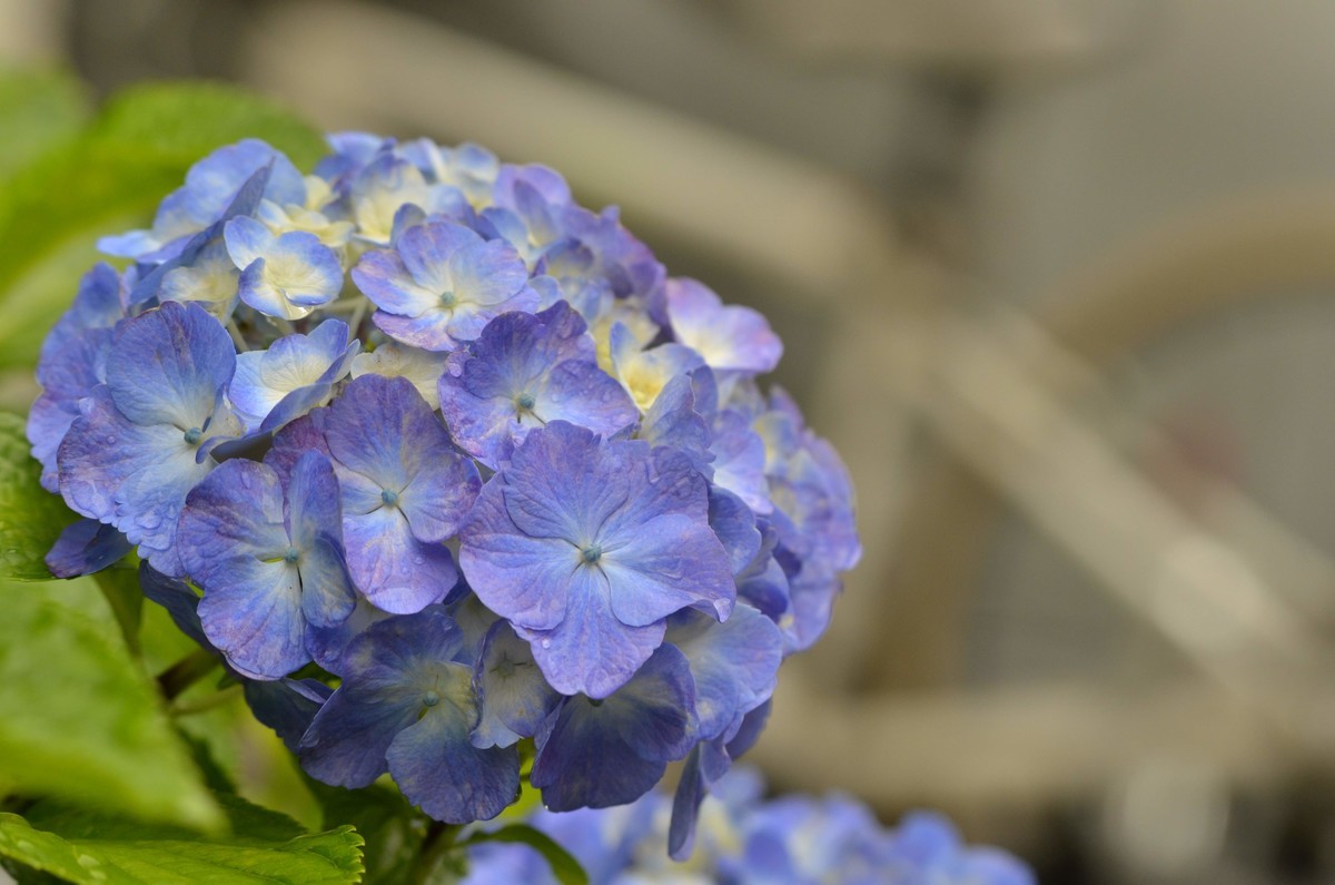 f:id:microfilm:20190608080342j:plain f:id:microfilm:20190608080342j:plain