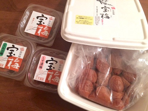 f:id:micvany:20160108124410j:plain