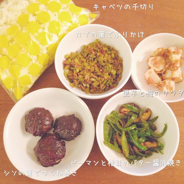 f:id:micvany:20160915224431j:plain f:id:micvany:20160915224431j:plain